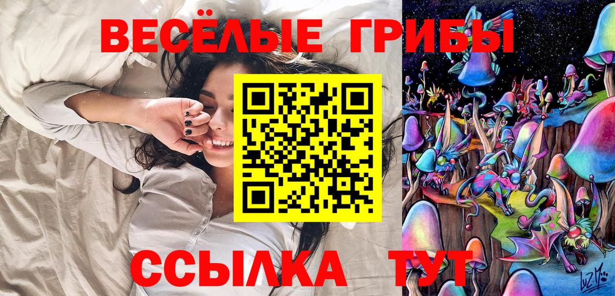 Псилоцибиновые грибы Cubensis Прохладный
