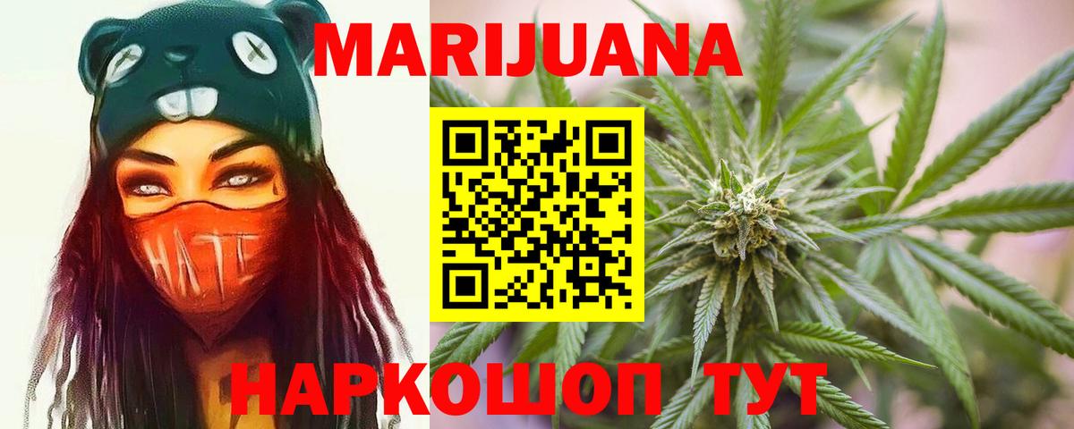 Конопля гибрид Прохладный